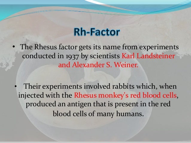 Rhesus Blood Factor and Rh-Conflict Rhesus Blood Factor and Rh-Conflict